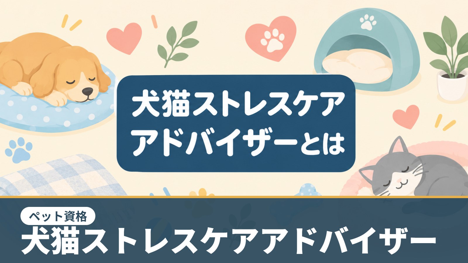 犬猫ストレスケアアドバイザー（ペット資格）のアイキャッチ画像