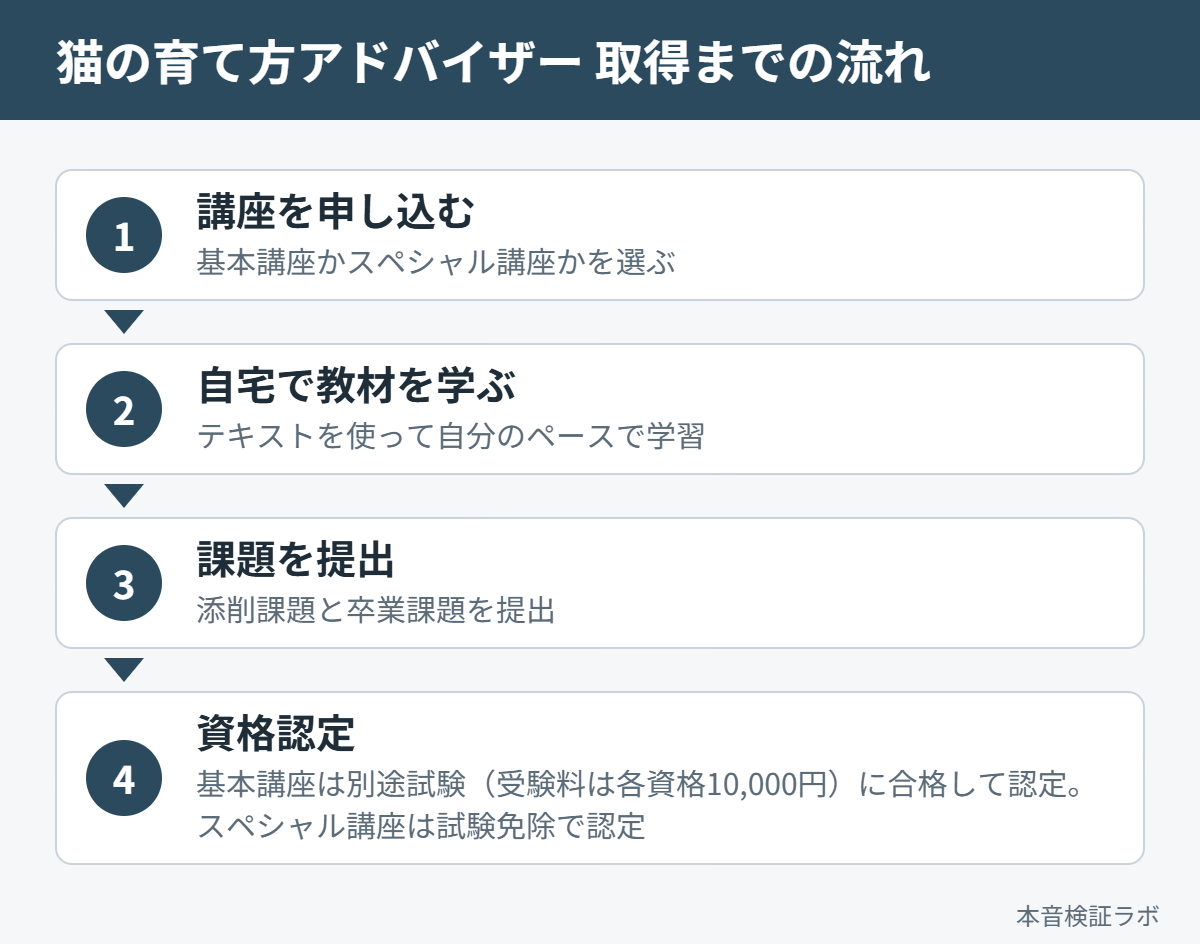 猫の育て方アドバイザーを取得するまでの流れ（講座申込→自宅学習→課題提出→資格認定）