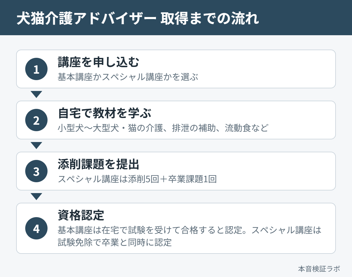 犬猫介護アドバイザーを取得するまでの流れ（講座申込→在宅学習→添削課題→資格認定）