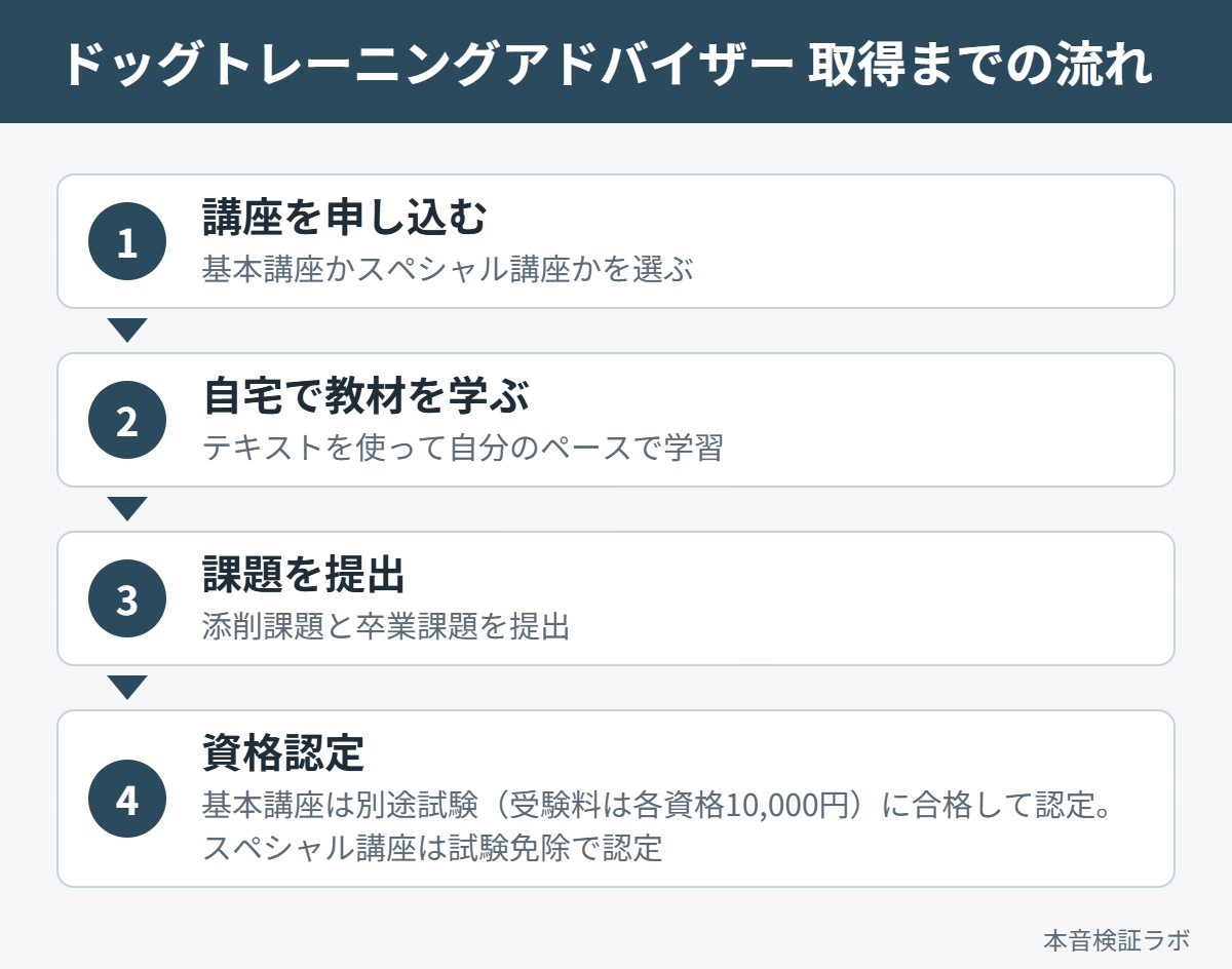 ドッグトレーニングアドバイザーを取得するまでの流れ（講座申込→自宅学習→課題提出→資格認定）
